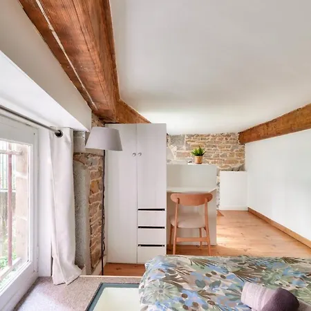 Duplex Near Croix Rousse شقة